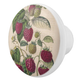 ヴィンテージラズベリー果実 セラミックノブ