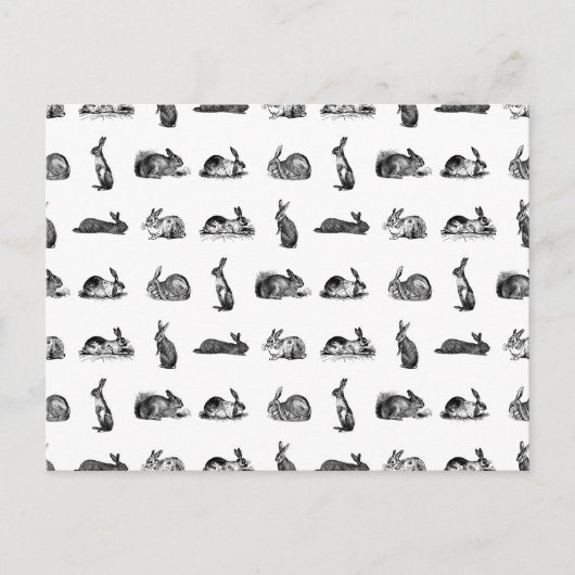 ヴィンテージラビクラシックッツカスタムバンニーBGカラー ポストカード (正面)