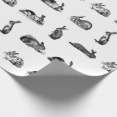 ヴィンテージラビクラシックッツカスタムバンニーBGカラー ラッピングペーパー (角)