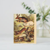 ヴィンテージラビットハレバニーエフエメラデクページアート ポストカード (スタンド正面)