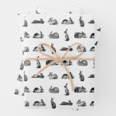 ヴィンテージラビットバンニーズカスタムアート背景色 ラッピングペーパーシート (インサイチュ)