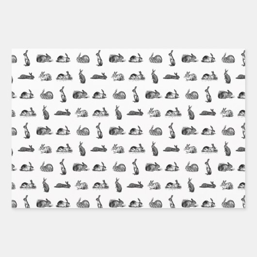 ヴィンテージラビットバンニーズカスタムアート背景色 ラッピングペーパーシート (正面)