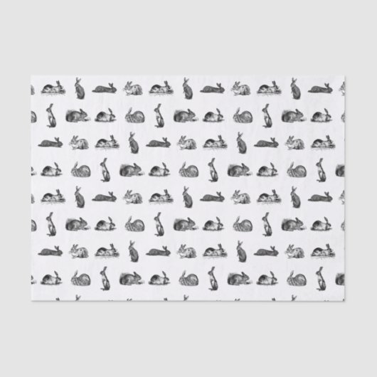 ヴィンテージラビットバンニーズカスタムアート背景色 薄葉紙 (正面)