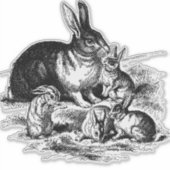 ヴィンテージラビットファミリーイラストレーションベビーバンニー シール (正面)