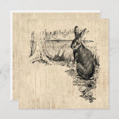 ヴィンテージラビッ図解入りの、写真付きのトバニーアート ノートカード (正面/裏面)