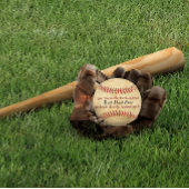 ヴィンテージラブザパーク&バックパパ 野球ボール