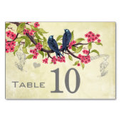 ヴィンテージラブバードピンクティール（緑がかった色）ブルーグリーン テーブルナンバー (正面)