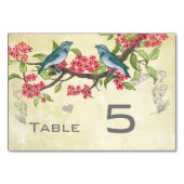 ヴィンテージラブバードピンクレッドティール(緑がかった色)ブルーグリーン テーブルナンバー (裏面)