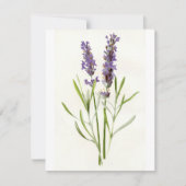 ヴィンテージラベンダー シーズンカード (正面)