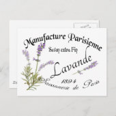 ヴィンテージラベンダー ポストカード (正面/裏面)