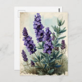 ヴィンテージラベンダー ポストカード (正面/裏面)