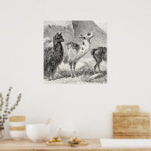 ヴィンテージラマアルパカテンプレートラマスアルパカ ポスター (キッチン)