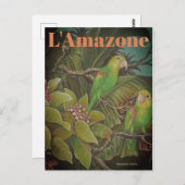 ヴィンテージラマゾン旅行はがき ポストカード (正面/裏面)