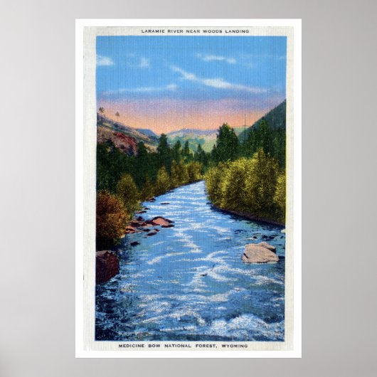 ヴィンテージララミーリバーウッズランディングWY ポスター (正面)