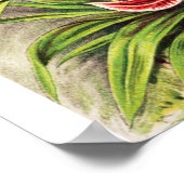 ヴィンテージランイラストレーション ポスター (角)