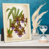 ヴィンテージランズリンデニアザイゴポルタムゴーティエリ フォトプラーク (側面)