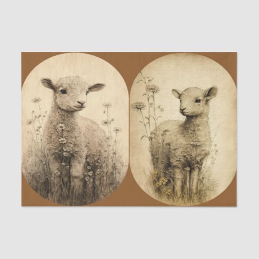 ヴィンテージランブスティッシュペーパー 薄葉紙 (正面)