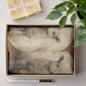 ヴィンテージランブスティッシュペーパー 薄葉紙 (ギフト)