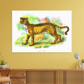 ヴィンテージリガーまたはライオンタイガー動物イラストレーション キャンバスプリント (インサイチュ (リビング))