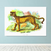 ヴィンテージリガーまたはライオンタイガー動物イラストレーション キャンバスプリント (インサイチュ (ウッドフロア))
