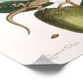 ヴィンテージリザードイラストレーション ポスター (角)