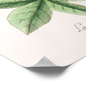 ヴィンテージリザードイラストレーション ポスター (角)