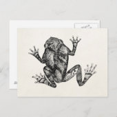 ヴィンテージリスの木のヒキガエル – Reptile Frogテンプレート ポストカード (正面/裏面)