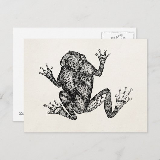 ヴィンテージリスの木のヒキガエル – Reptile Frogテンプレート ポストカード (正面/裏面)