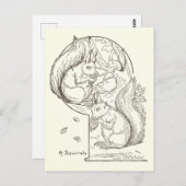 ヴィンテージリスイラストレーションスケッチはがき ポストカード (正面/裏面)