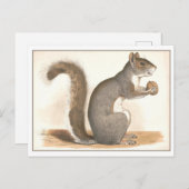 ヴィンテージリスイラストレーション ポストカード (正面/裏面)