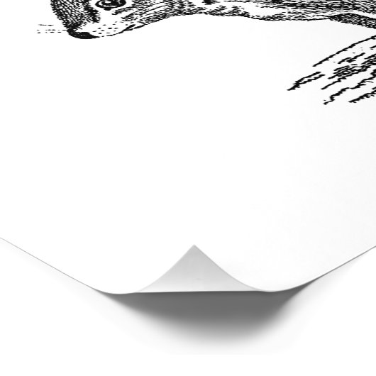 ヴィンテージリスイラストレーション- 1800年代リス フォトプリント (角)