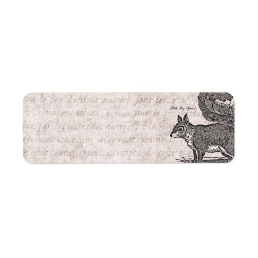 ヴィンテージリスイラストレーション- 1800年代リス ラベル (正面)