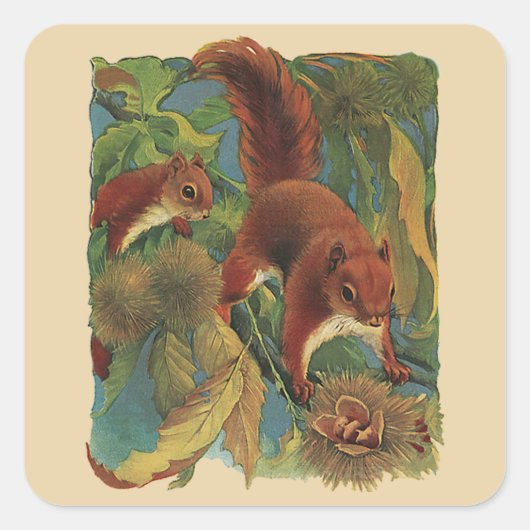 ヴィンテージリス、森林の生き物、野生動物 スクエアシール (正面)
