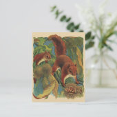 ヴィンテージリス、森林の生き物、野生動物 ポストカード (スタンド正面)