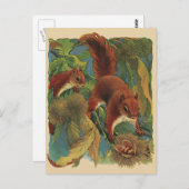 ヴィンテージリス、森林の生き物、野生動物 ポストカード (正面/裏面)