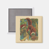 ヴィンテージリス、森林の生き物、野生動物 マグネット (正面/裏面)