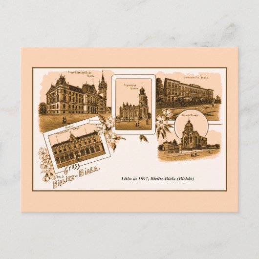 ヴィンテージリトグロスハウスバイエリッツ – ビアラ ポストカード (正面)
