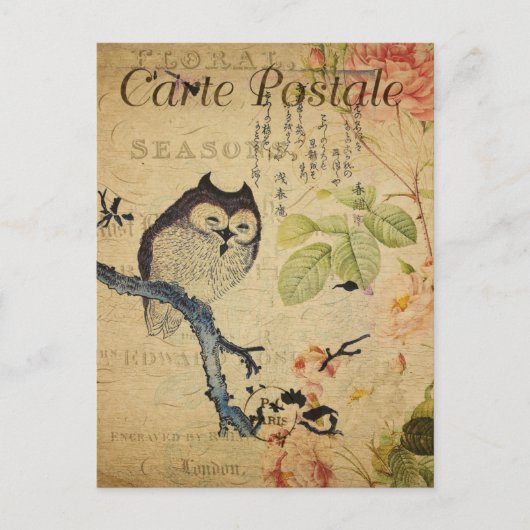 ヴィンテージリトルフクロウピンクローズフランスの ポストカード (正面)