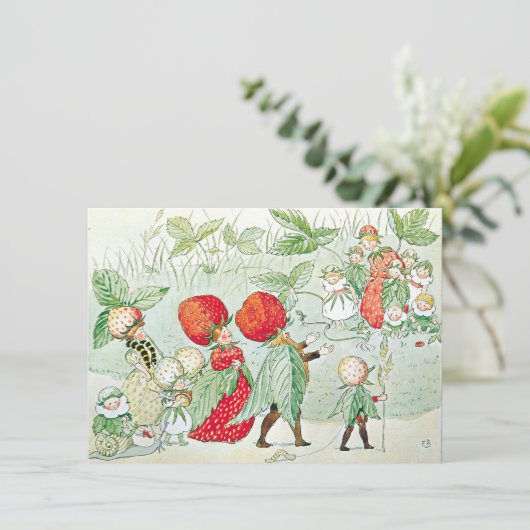 ヴィンテージリトルラシーフェアリーガーデンエルサベスコウ (スタンド正面)