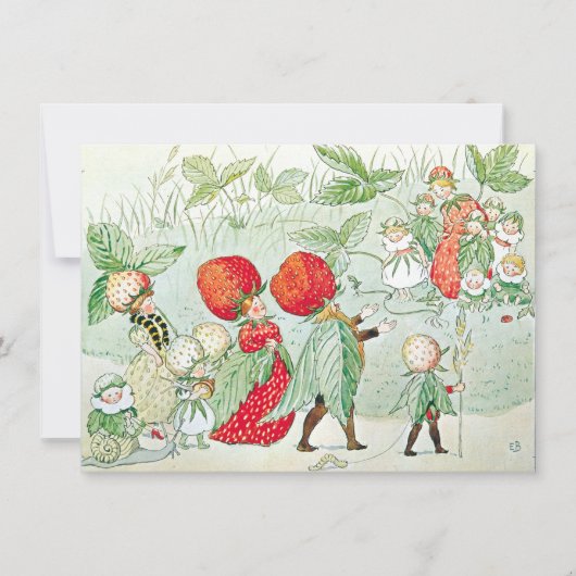 ヴィンテージリトルラシーフェアリーガーデンエルサベスコウ (正面)