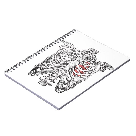 ヴィンテージリバケージ&ハート解剖学ハロウィーン ノートブック (左側)