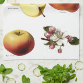 ヴィンテージリンゴ茶タオル キッチンタオル (折り畳み)