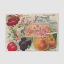 ヴィンテージリードのカタログ1896プリント