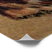 ヴィンテージルイスワーインモナクルキャットポスタープリント ポスター (角)