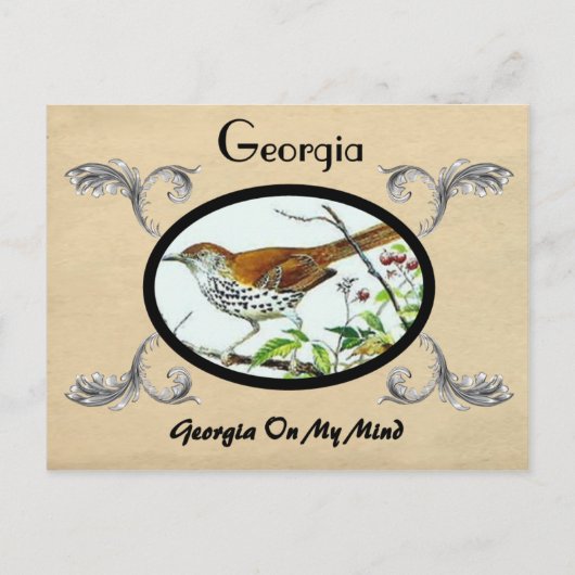 ヴィンテージルックオールドポストカードジョージアステスト ポストカード (正面)
