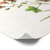 ヴィンテージルックボタニカルクランビルフローラ ポスター (角)