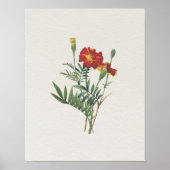 ヴィンテージルックボタニカルマリゴールド ポスター (正面)