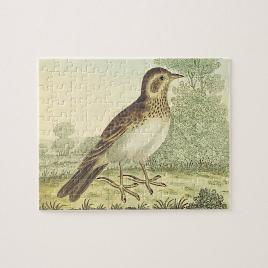 ヴィンテージルック、鳥の地面に立つパズル ジグソーパズル (横)