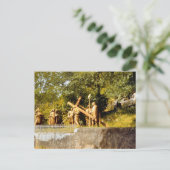 ヴィンテージルルド、十字架の駅 ポストカード (スタンド正面)