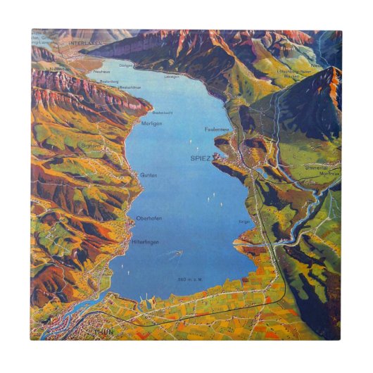 ヴィンテージレイクオブトゥンスイストラベル タイル (正面)